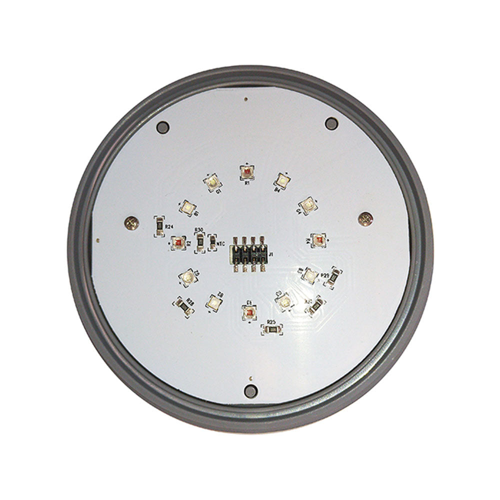 Authentic Aqua/Lamp AL14RR - 12 Volt Rainbow Rays Multi-Coloured LED Bulb (12 Coloured LED's) c/w Grey Silicone O-Ring (AL4S)